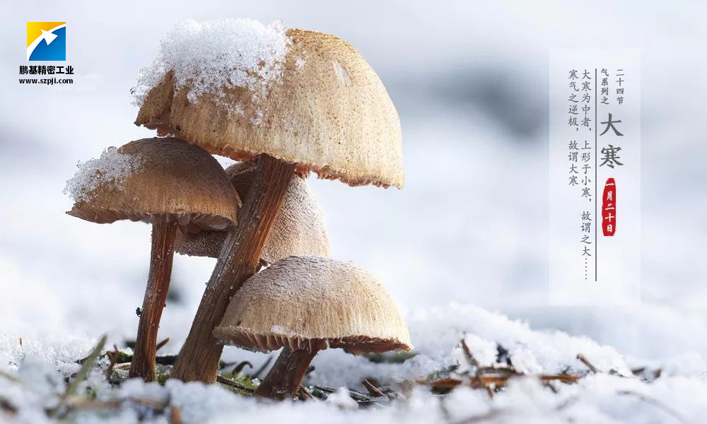 大寒，唯美冰雪迎新春！